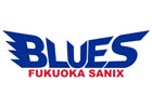 2005_logo_blues_small